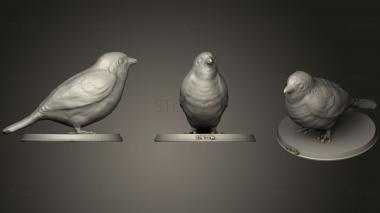 3D model Sparrow (STL)